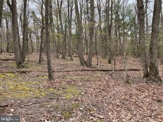 0 Hungaria Rd unit WVMO118352, Berkeley Springs, WV 25411 - photo 6