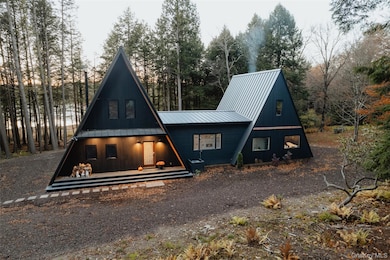 521 Perry Rd, Swan Lake, NY 12783 - photo 2