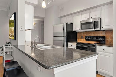 7701 Rialto Blvd unit 1426, Austin, TX 78735 - photo 4