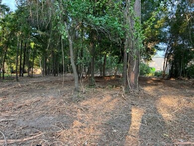 0 Park Place Dr, Tomball, TX 77377 - photo 5