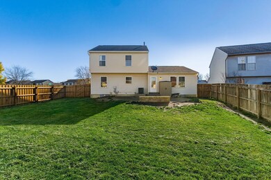Large back yard