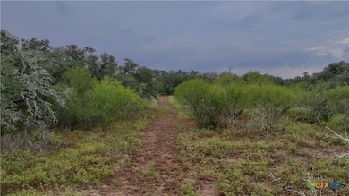000 Coletoville Rd, Victoria, TX 77905 - photo 6
