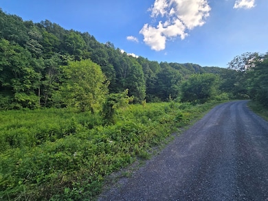 TBD Cliff Rd, North Tazewell, VA 24630 - photo 3