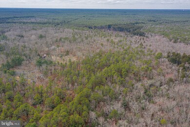 2571 8th Ave, Hammonton, NJ 08037 - photo 4