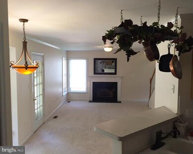 35533 Wilderness Shores Way, Locust Grove, VA 22508 - photo 6