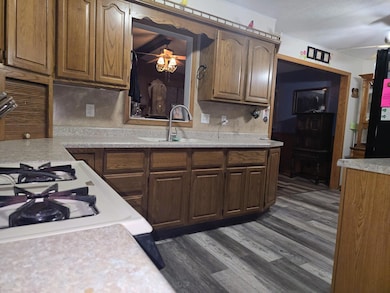 106 6th St, Durant, IA 52747 - photo 3