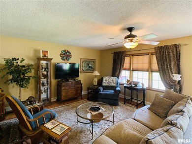 1500 Delmar St, Harrisburg, IL 62946 - photo 5