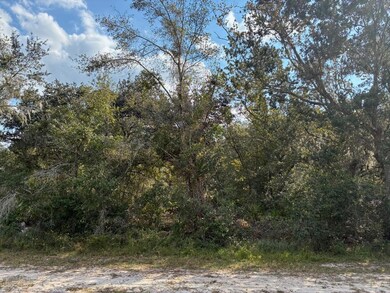 Lot 14, Block 75 Park Ave, Lake Wales, FL 33855 - photo 4