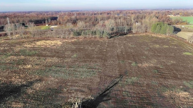 61776 Indian Trail, Ray, MI 48096 - photo 5