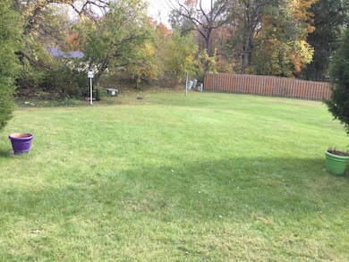 Back yard