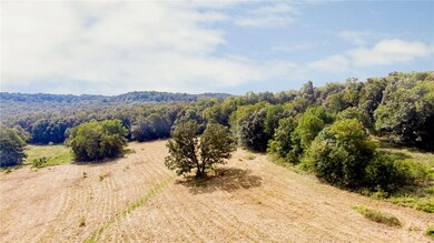 0 Bray Rd, Elkins, AR 72727 - photo 3