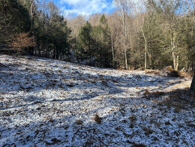 0 3rd St, Burnside, PA 15724 - photo 3