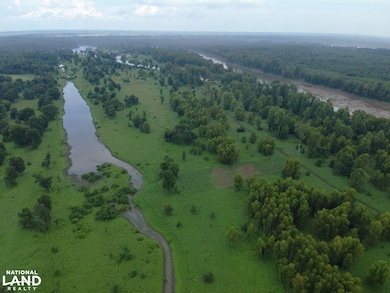 201 Hodge Rd, Tallulah, LA 71336 - photo 5