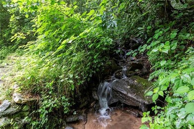 303 Falling Waters Rd unit Tract D, Cullowhee, NC 28723 - photo 4