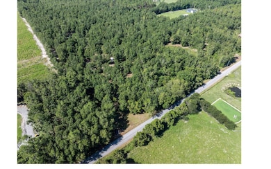 TBD 216th St, O'Brien, FL 32071 - photo 2