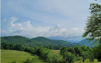 Additional View