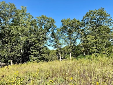 15 Nature View Dr, Wrentham, MA 02093 - photo 6