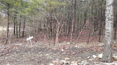 0 Willoughby Lot B Rd unit 1011775, Fayetteville, AR 72701 - photo 4