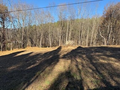 22 Moon Cir, Spring City, TN 37381 - photo 3