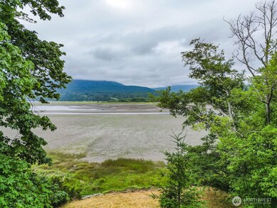 1310 E Quilcene Rd, Quilcene, WA 98376 - photo 4