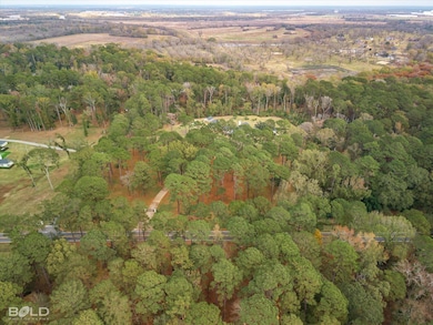 10405 Ellerbe Rd unit 3, Shreveport, LA 71106 - photo 4