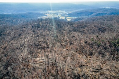 0 Board Valley Rd unit RTC2366291, Cookeville, TN 38501 - photo 6