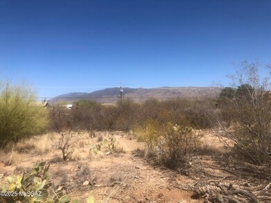 Rincon Mountains