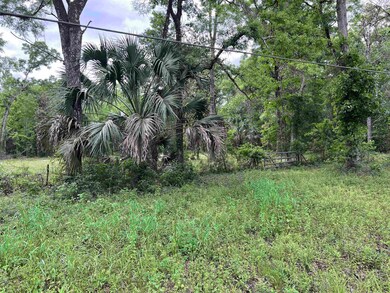 62 Appaloosa Rd, Crawfordville, FL 32327 - photo 4