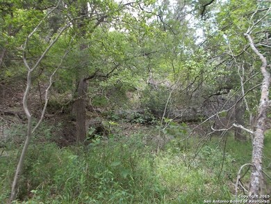 24802 N Saddle Trail, San Antonio, TX 78255 - photo 3