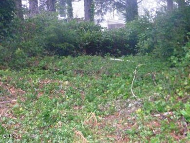 CLEARED AREA