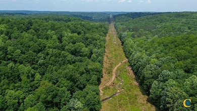 0 Catheys Creek Rd unit 25510509, Hampshire, TN 38461 - photo 2