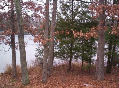 2485 W Lake Shore Dr, Bitely, MI 49309 - photo 2