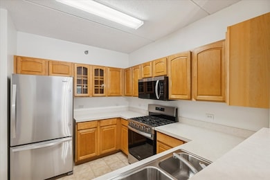 440 W Mahogany Ct unit 203, Palatine, IL 60067 - photo 5