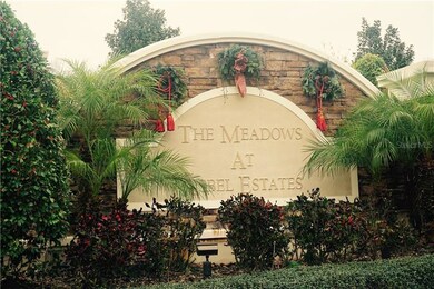 9645 Simeon Dr, Land O Lakes, FL 34638 - photo 2