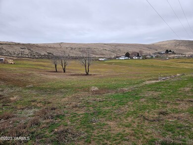 Field