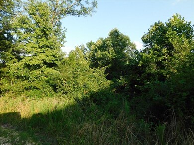 Beautiful hardwood trees abound!  There are no neighbors behind the lot so plenty of privacy here!