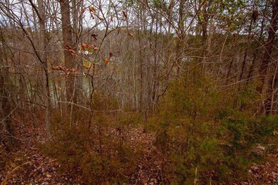 Lot 25 River Front Dr Dr, Sparta, TN 38583 - photo 6