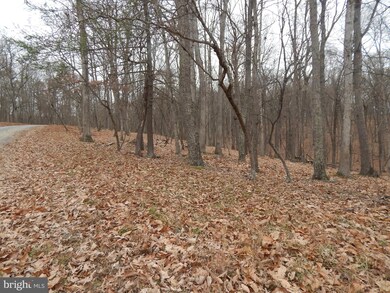 0 Pioneer Trail unit WVMO116368, Great Cacapon, WV 25422 - photo 5