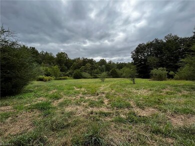 3588 Teague Farm Rd, Seagrove, NC 27341 - photo 6