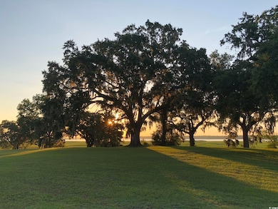 829 Commanders Island Rd unit Lot 183, Georgetown, SC 29440 - photo 4