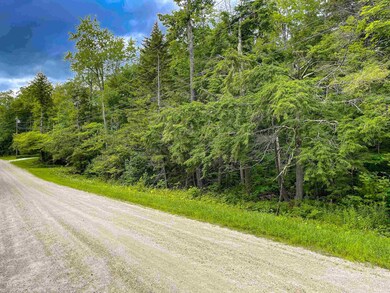 Lot #18 Deep Woods Rd unit 18, Winhall, VT 05340 - photo 3