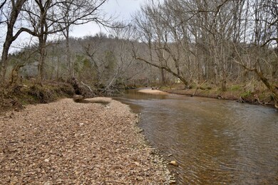 565 Cedar Creek Rd, Linden, TN 37096 - photo 3