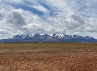 Abajo Mountain view