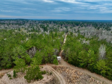 741 Beach Rd, Columbia, MS 39429 - photo 2