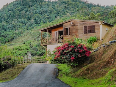 SR 526 Bosque Tanama, Adjuntas, PR 00601 - photo 2