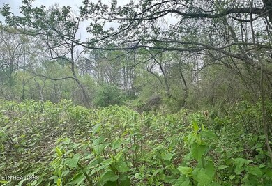 Image_20250326_084147_011