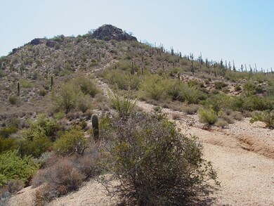Home Site Location