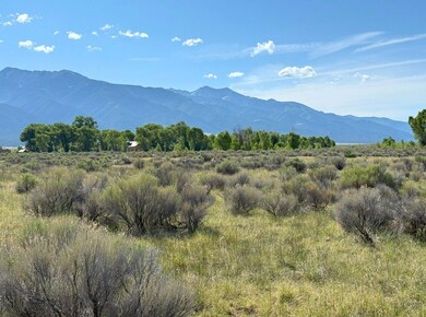 1183 Tomahawk Trail, Crestone, CO 81131 - photo 6