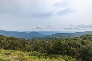 1459 Ledges Condos, Wintergreen Resort, VA 22967 - photo 3