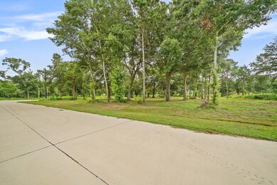 4607 Cottonwood Run, Alvin, TX 77511 - photo 5